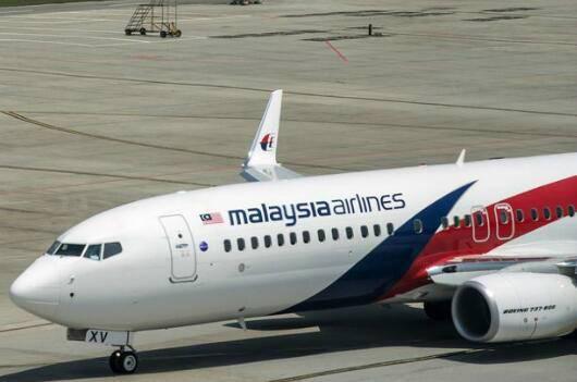 英专家称确定 马航MH370残骸在柬埔寨密林深处