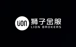 狮子金融集团 Lion Finanical Group