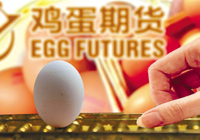 鸡蛋期货上涨10个点一手挣多少钱？