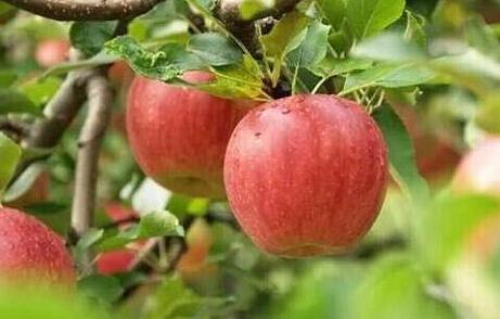 期货开户云开户时间