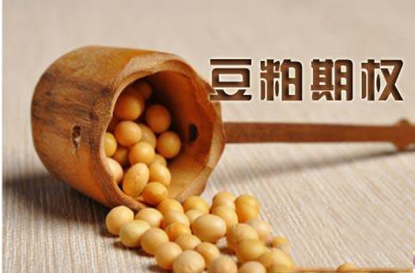 美盘期货豆粕实时行情