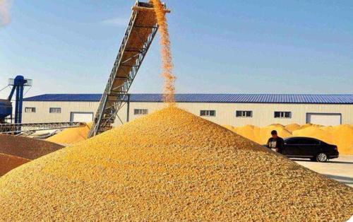 玉米期货价格最新行情
