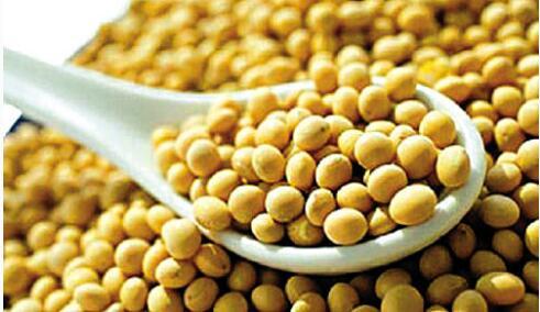 豆粕期货一手多少钱？