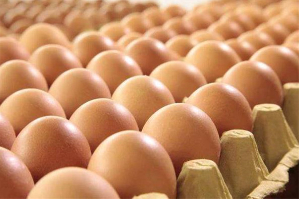 期货鸡蛋价格怎么换算
