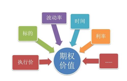 股票期权交易试点管理办法