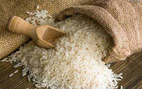 粳稻期货为什么没人炒？