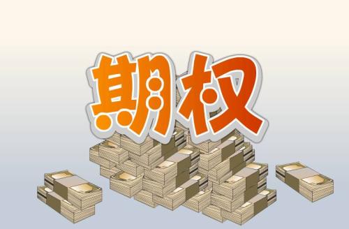 股票期权注销什么意思？