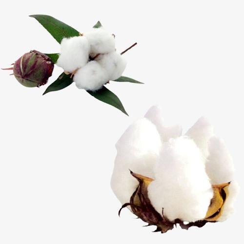 美棉期货交易时间段