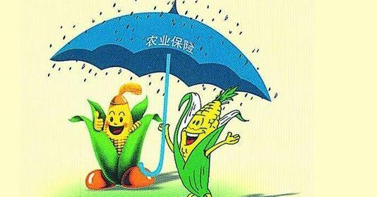 期权和期指哪个风险更大？