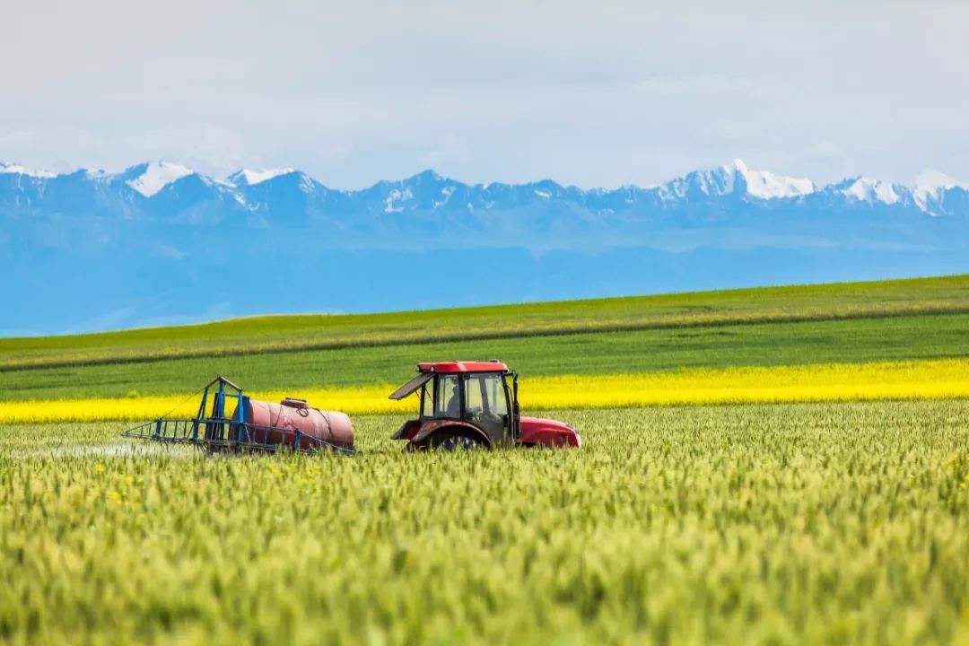 帮别人炒期货亏损怎么办？