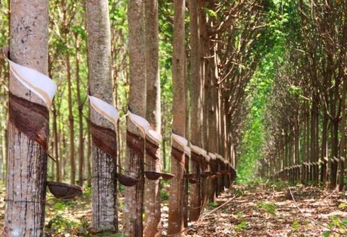 交易一手原油期货多少钱？