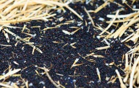 做期货看什么新闻APP好？