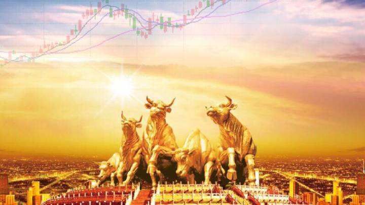 白酒股票为什么适合长期持有？