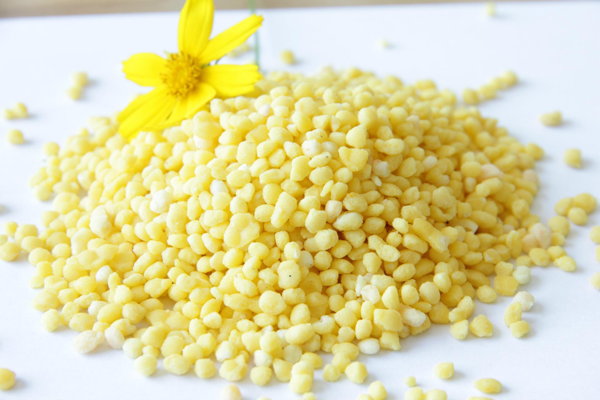 期货豆粕和菜粕哪个适合新手？