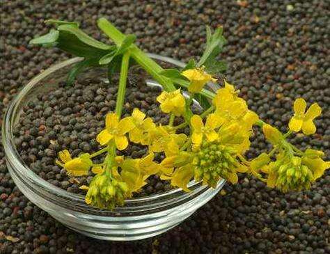 豆粕波动一个点多少钱？