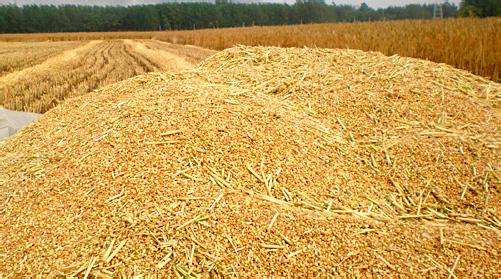 豆粕是一定在区间内波动吗？