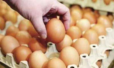 鸡蛋期货一手多少保证金？