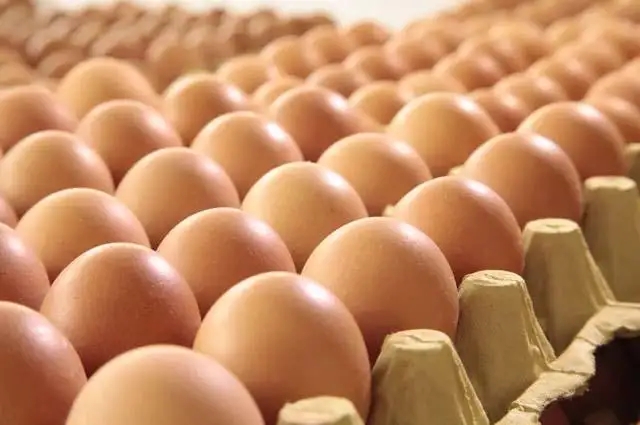 交易一手鸡蛋期货要多少钱？