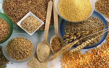 期货哪个品种保证金最少？