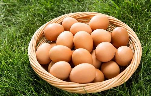 资金五万适合做的期货品种