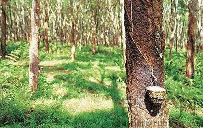 橡胶期货赚200点是多少？