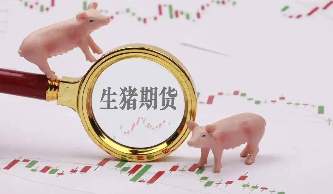 期货生猪手续费多少钱一手？