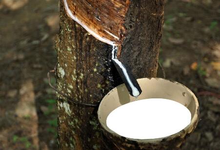 橡胶期货的手续费是多少钱？